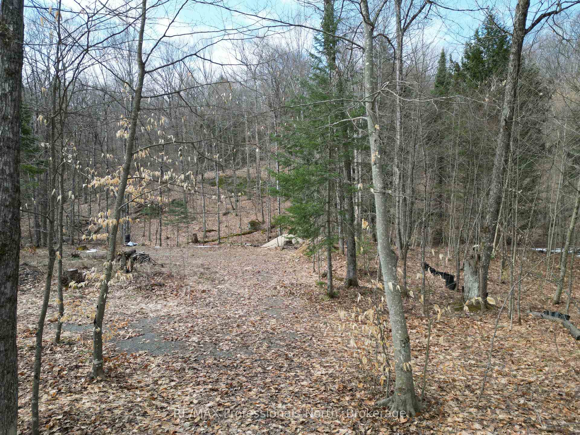 Photo 4 of 1231 Big Hawk Lake Road, Algonquin Highlands, Stanhope — HOMEH