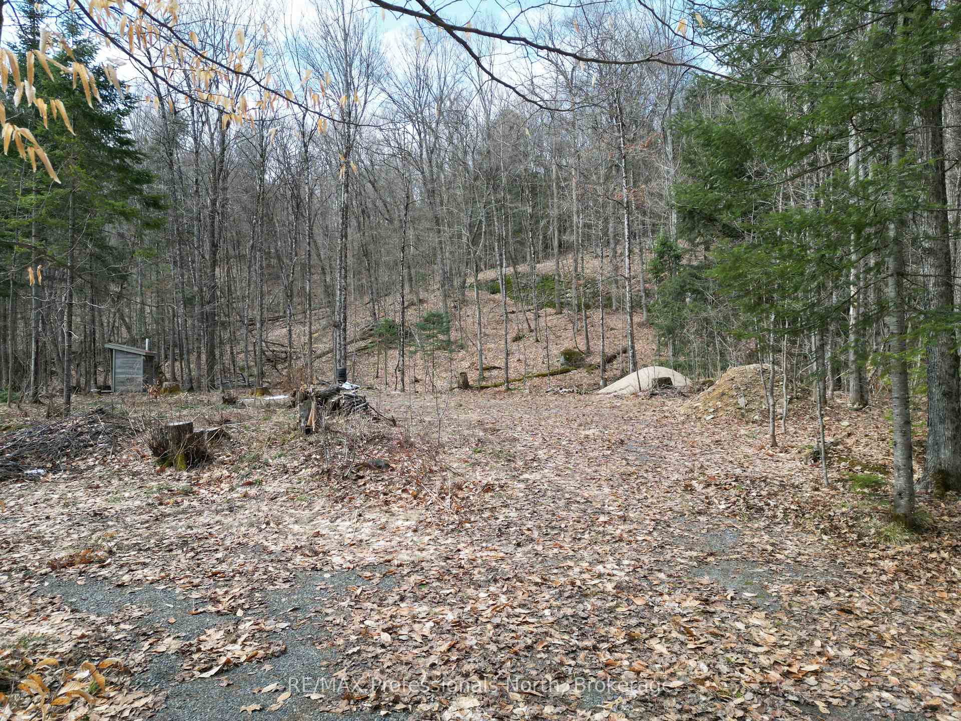 Photo 5 of 1231 Big Hawk Lake Road, Algonquin Highlands, Stanhope — HOMEH