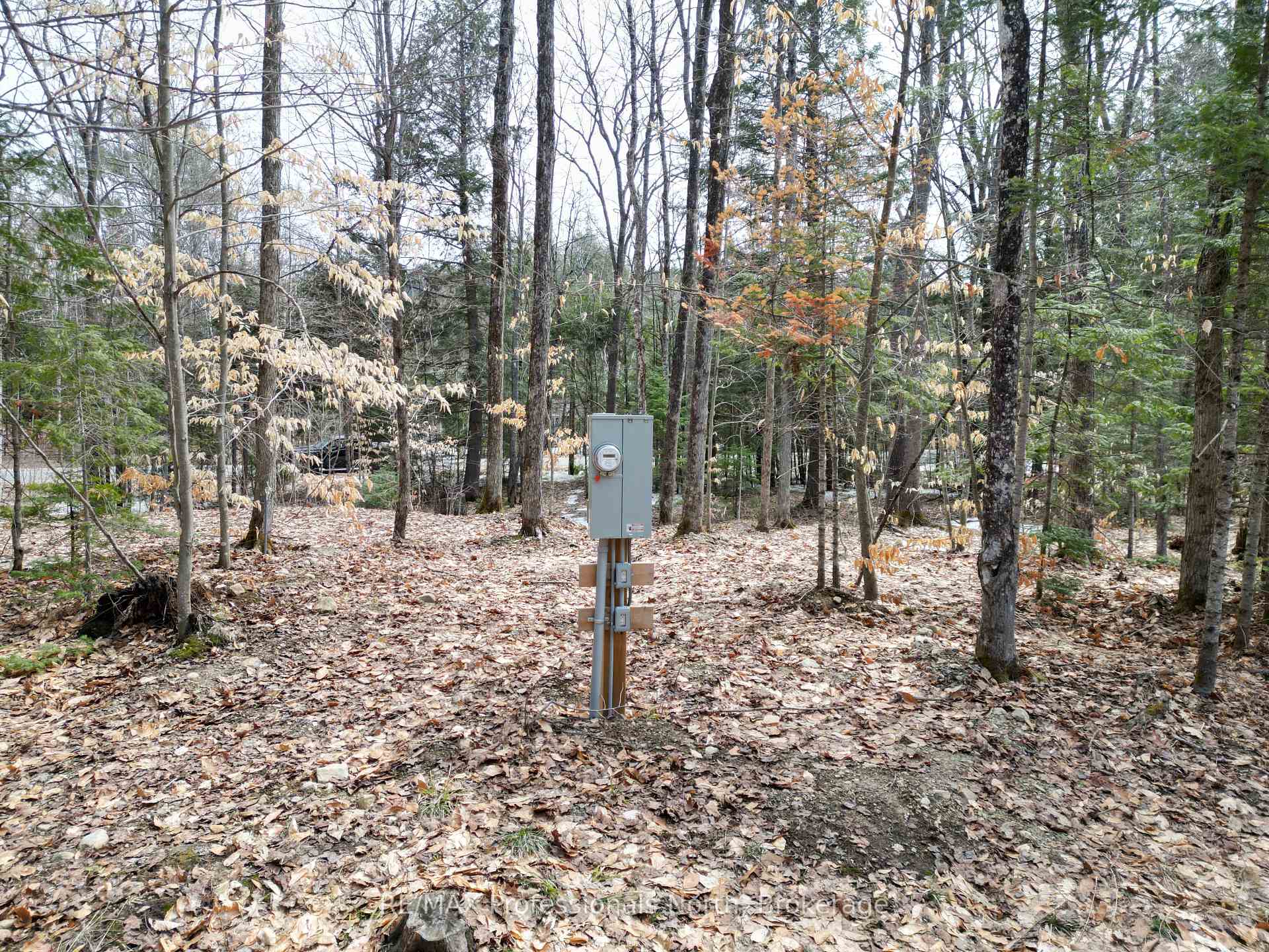 Photo 6 of 1231 Big Hawk Lake Road, Algonquin Highlands, Stanhope — HOMEH