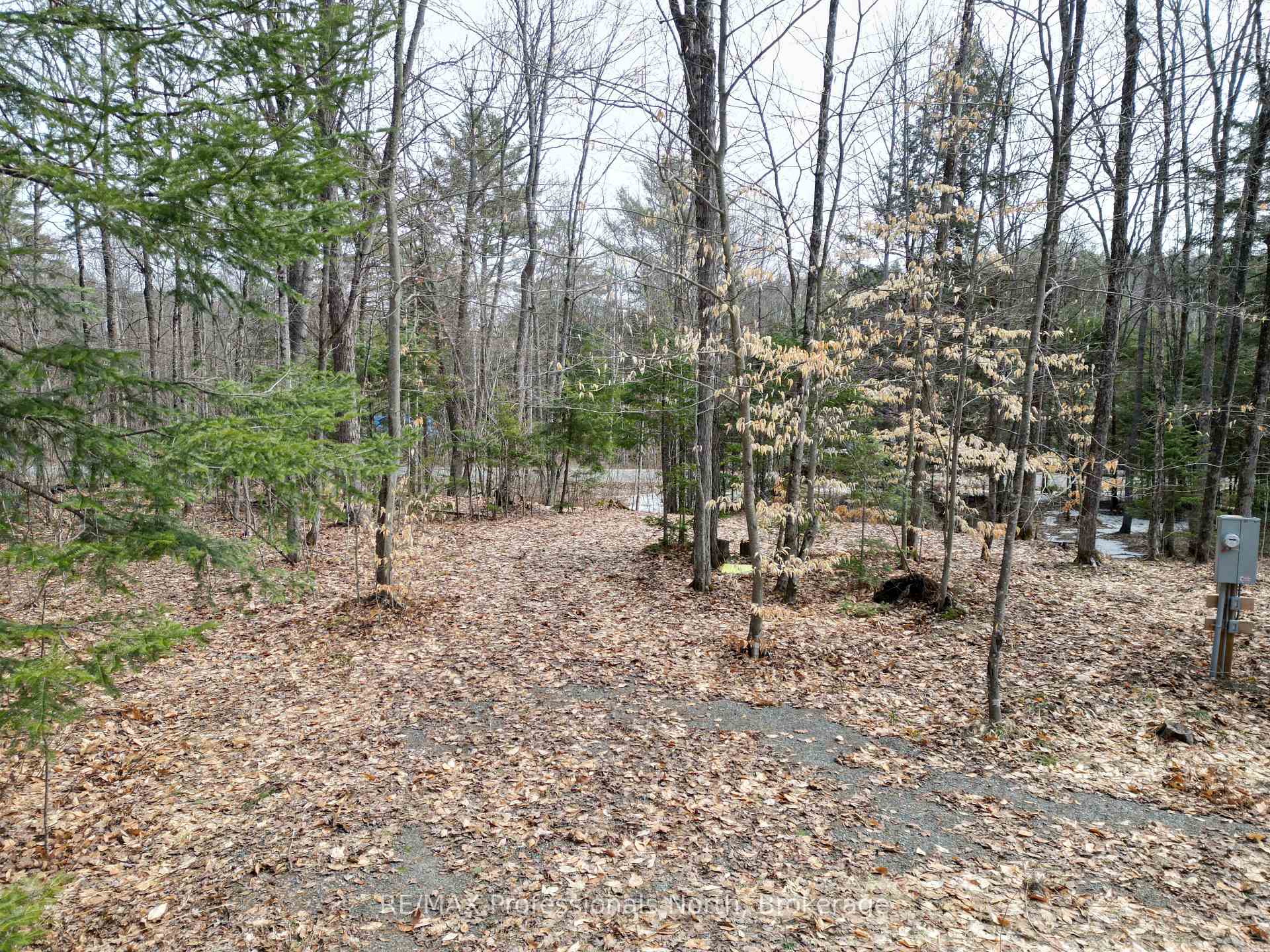 Photo 9 of 1231 Big Hawk Lake Road, Algonquin Highlands, Stanhope — HOMEH