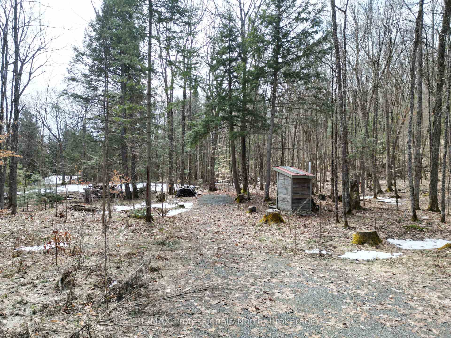 Photo 10 of 1231 Big Hawk Lake Road, Algonquin Highlands, Stanhope — HOMEH