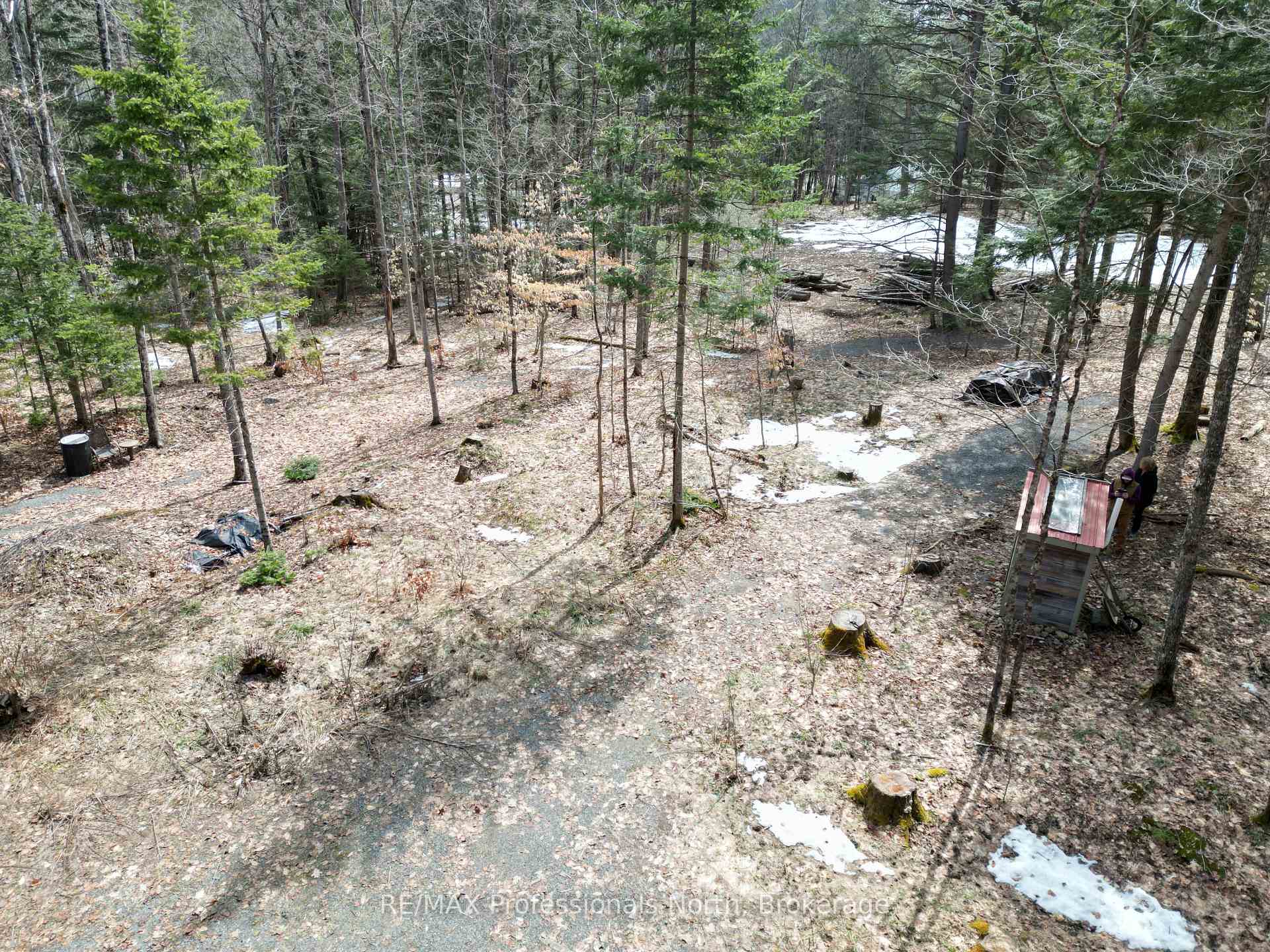 Photo 11 of 1231 Big Hawk Lake Road, Algonquin Highlands, Stanhope — HOMEH
