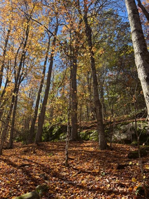 Photo 15 of 1231 Big Hawk Lake Road, Algonquin Highlands, Stanhope — HOMEH