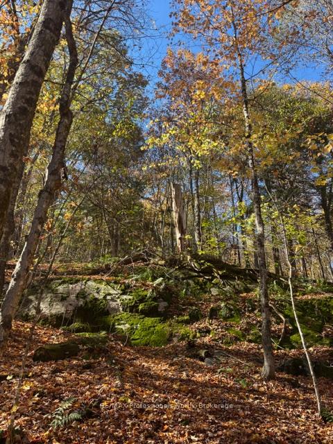 Photo 16 of 1231 Big Hawk Lake Road, Algonquin Highlands, Stanhope — HOMEH