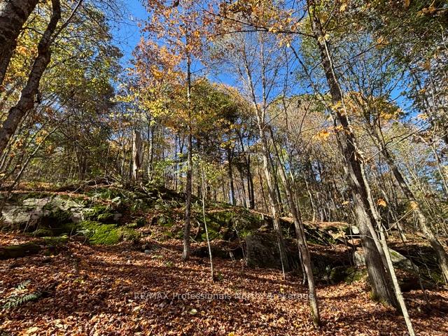 Photo 17 of 1231 Big Hawk Lake Road, Algonquin Highlands, Stanhope — HOMEH