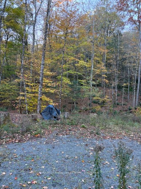 Photo 18 of 1231 Big Hawk Lake Road, Algonquin Highlands, Stanhope — HOMEH