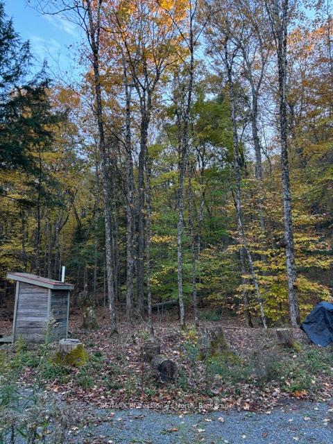 Photo 19 of 1231 Big Hawk Lake Road, Algonquin Highlands, Stanhope — HOMEH