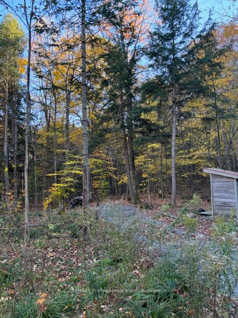 Photo 20 of 1231 Big Hawk Lake Road, Algonquin Highlands, Stanhope — HOMEH