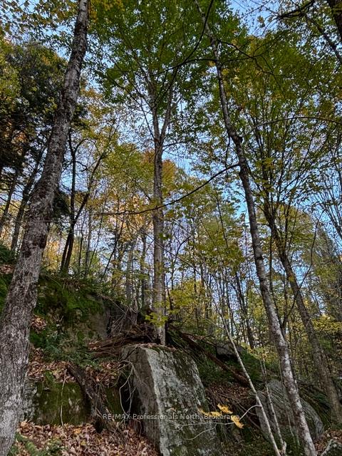 Photo 22 of 1231 Big Hawk Lake Road, Algonquin Highlands, Stanhope — HOMEH
