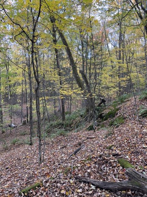 Photo 23 of 1231 Big Hawk Lake Road, Algonquin Highlands, Stanhope — HOMEH