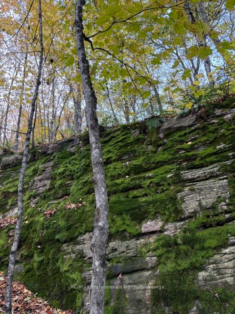Photo 24 of 1231 Big Hawk Lake Road, Algonquin Highlands, Stanhope — HOMEH