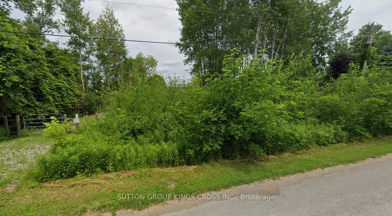 Photo 3 of LT 14 Charlore Park Drive, Kawartha Lakes, Emily — HOMEH