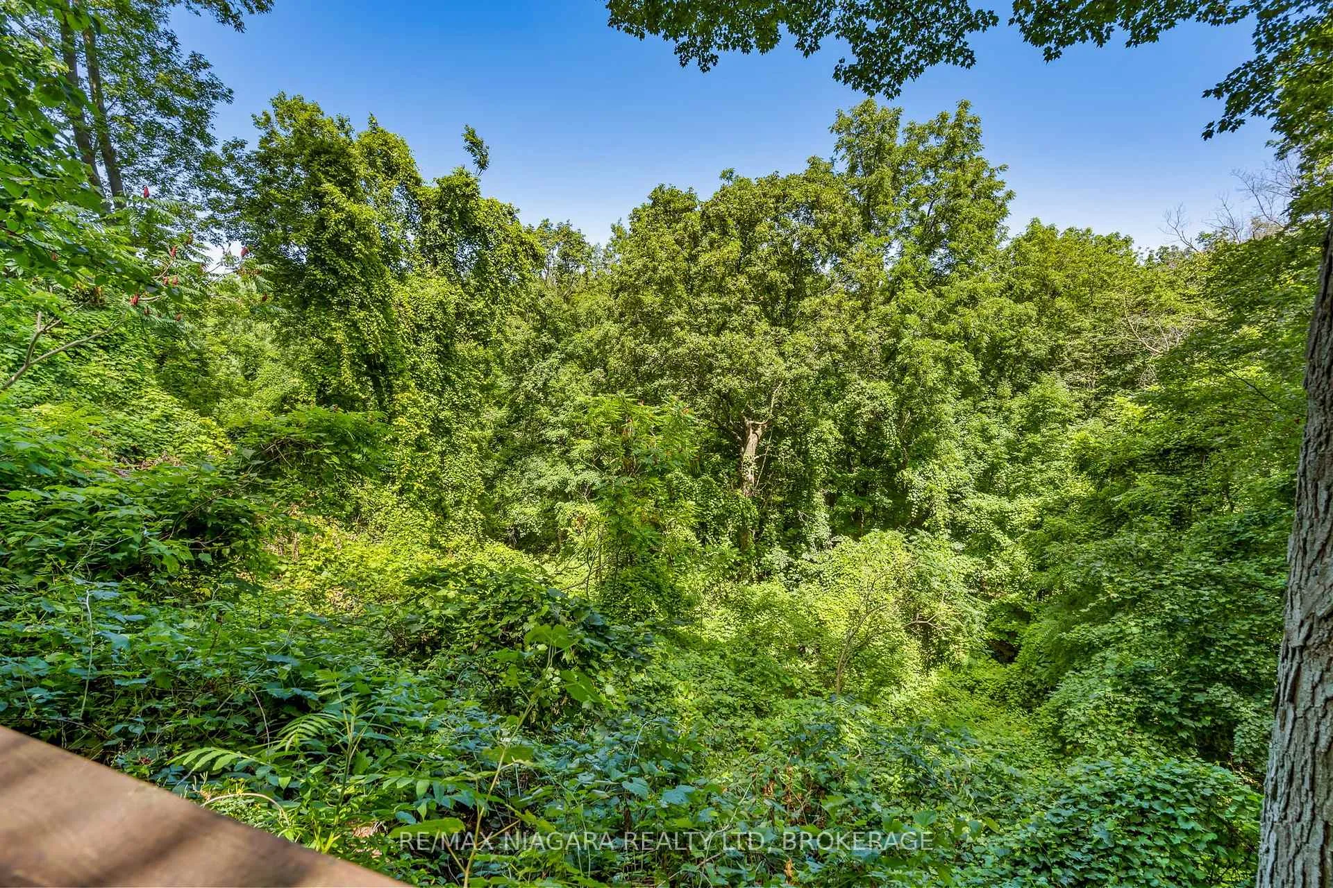 Photo 42 of 429 Ridge Road E, Grimsby, Grimsby Escarpment — HOMEH