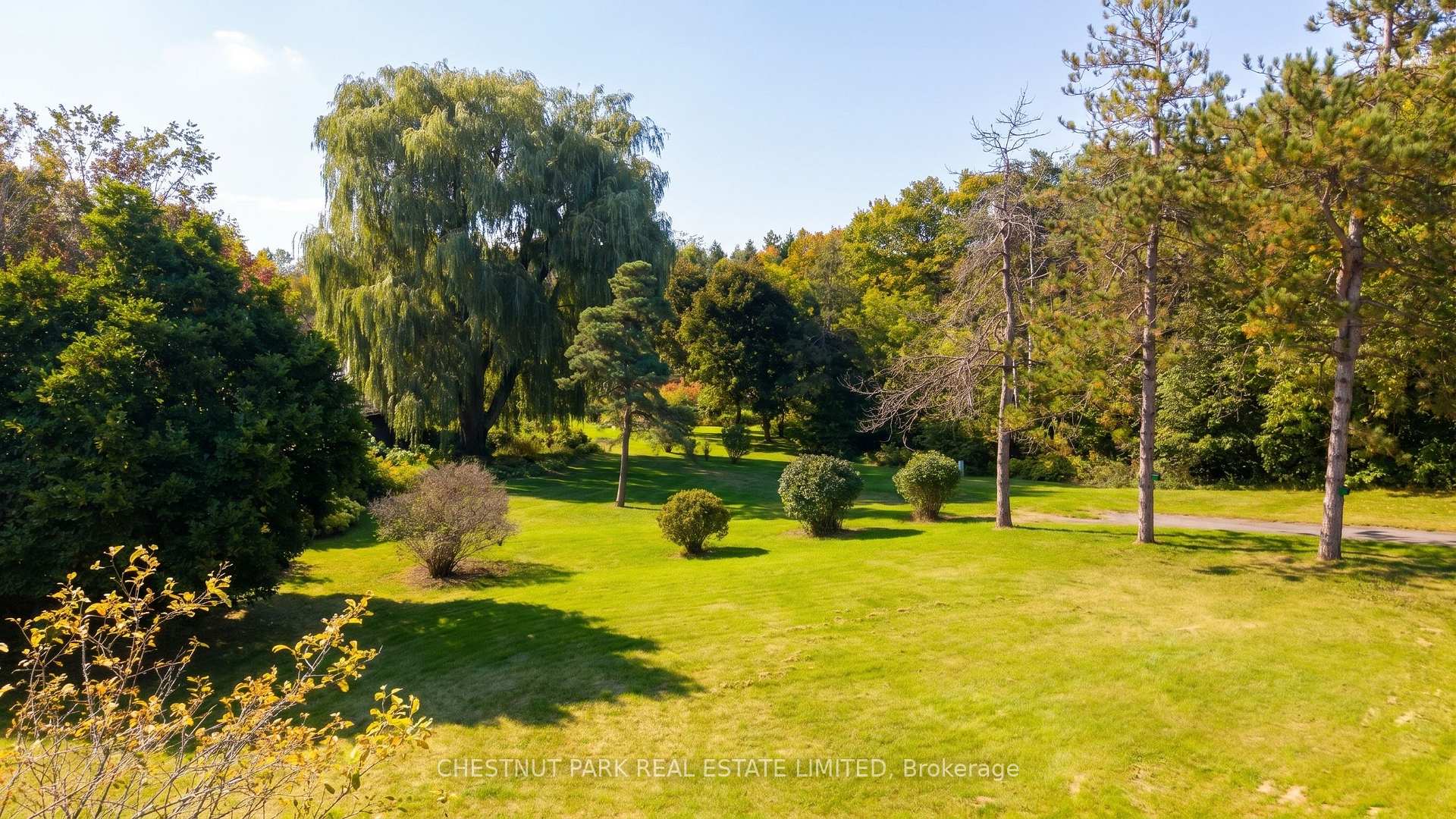 Photo 57 of 714055 1st Line EHS, Mono, Rural Mono — HOMEH