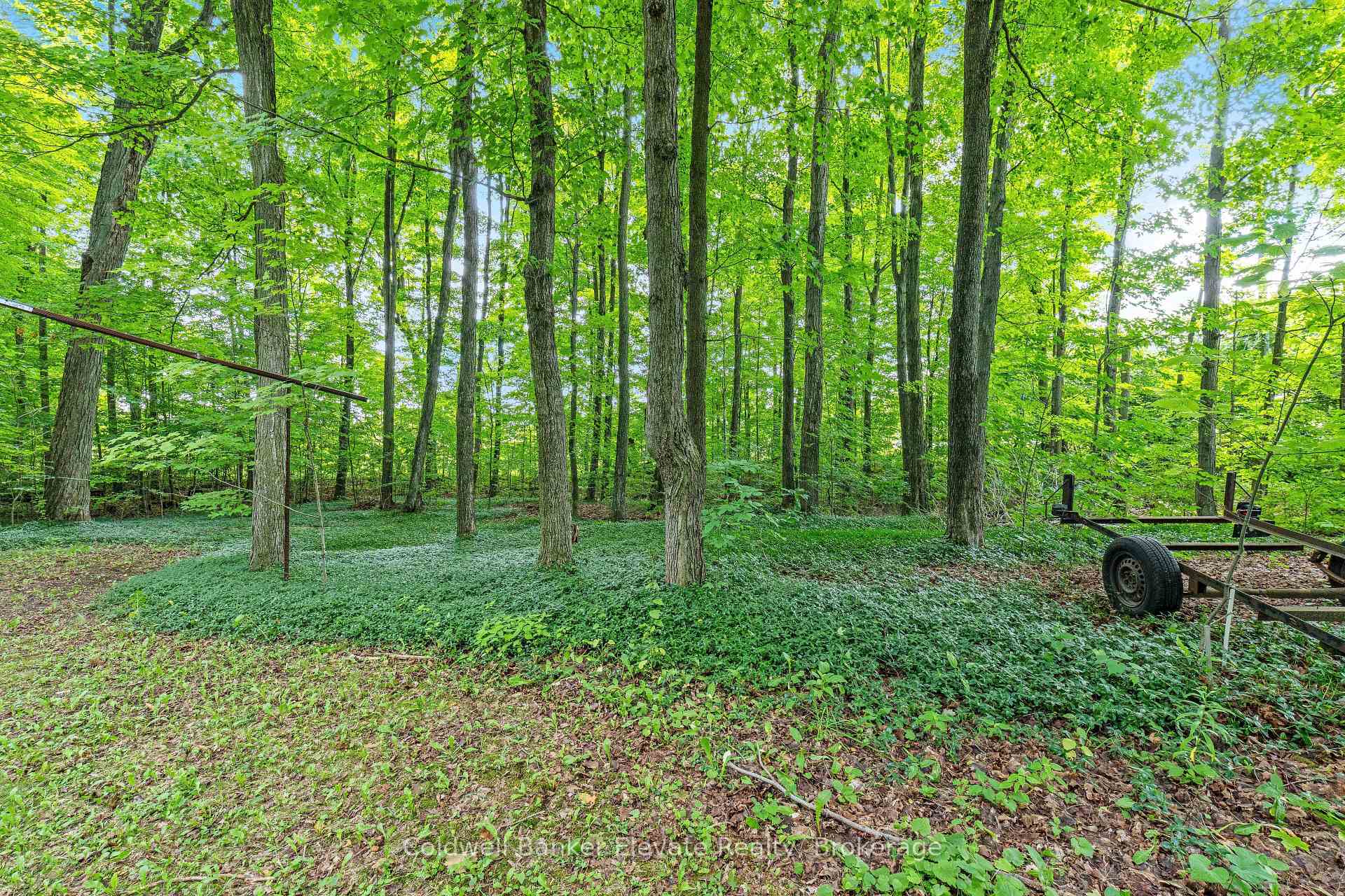 Photo 31 of 2529 Campbellville Road, Milton, Campbellville — HOMEH