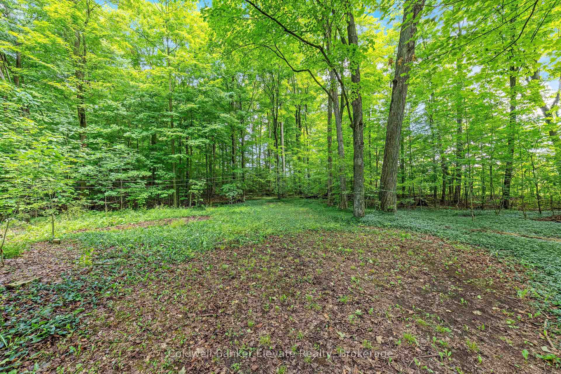 Photo 32 of 2529 Campbellville Road, Milton, Campbellville — HOMEH