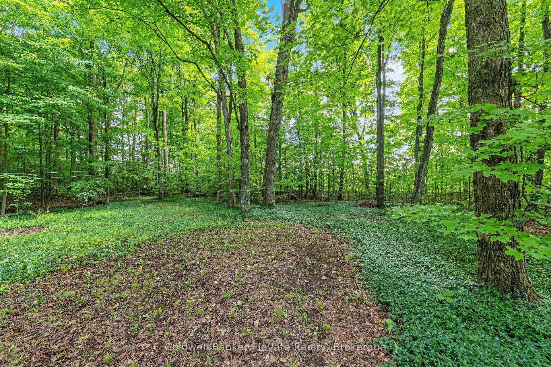 Photo 33 of 2529 Campbellville Road, Milton, Campbellville — HOMEH