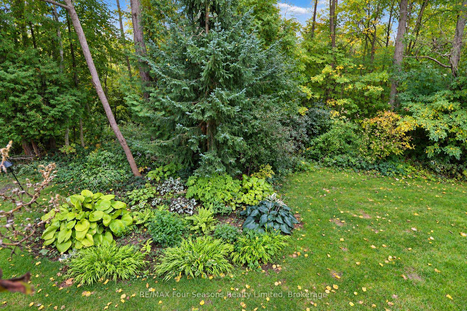 Photo 50 of 44 Green Briar Drive, Collingwood — HOMEH