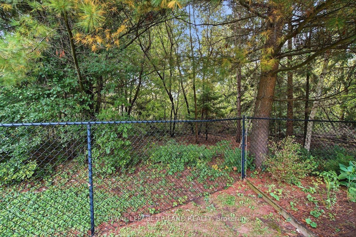 Photo 47 of 43 Hickory Lane, St. Thomas — HOMEH