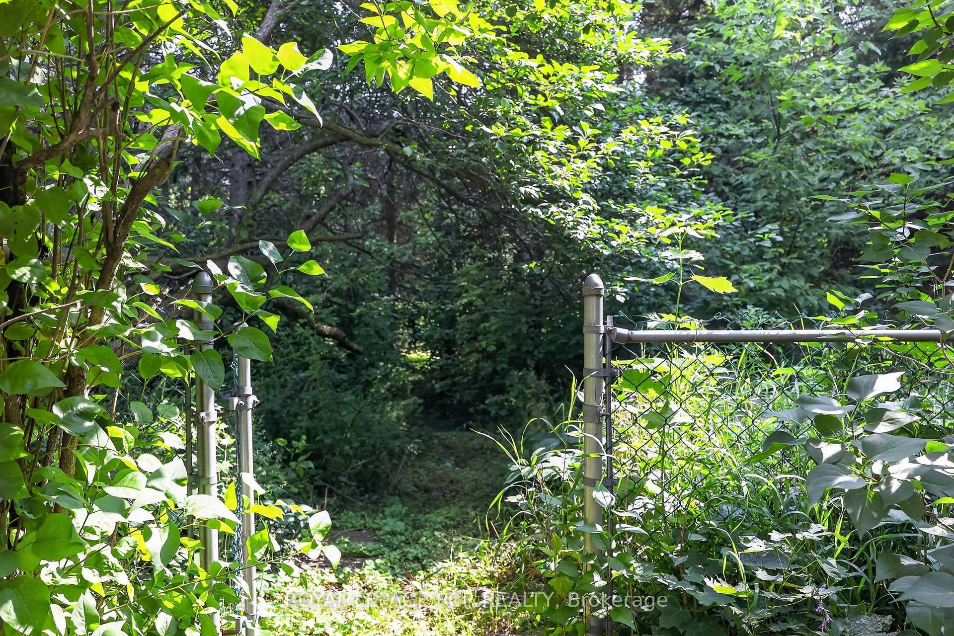 Photo 35 of 60 Holmes Drive, Caledon, Mono Mills — HOMEH