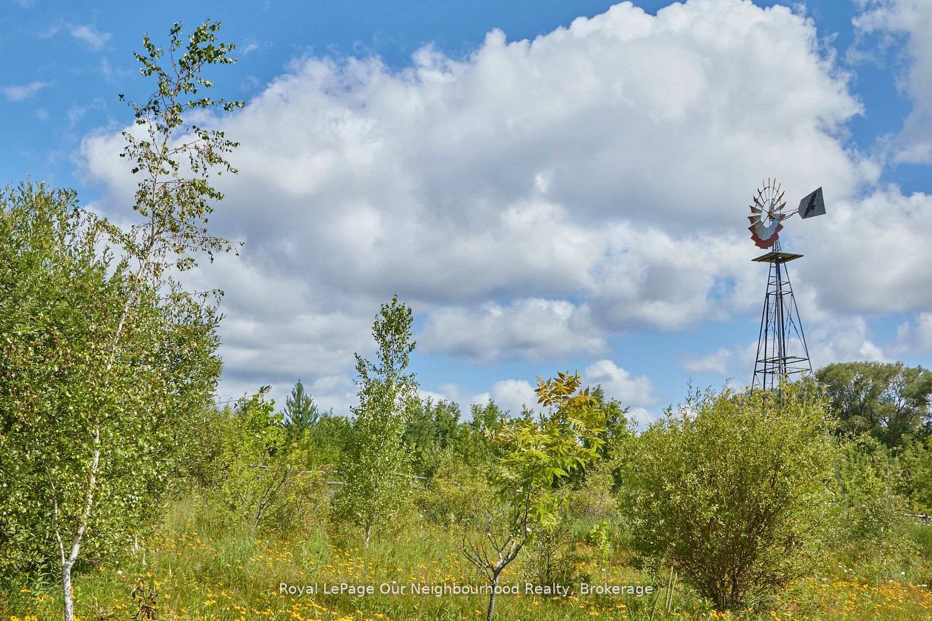 Photo 39 of 3088 Concession 7 Road, Clarington, Rural Clarington — HOMEH