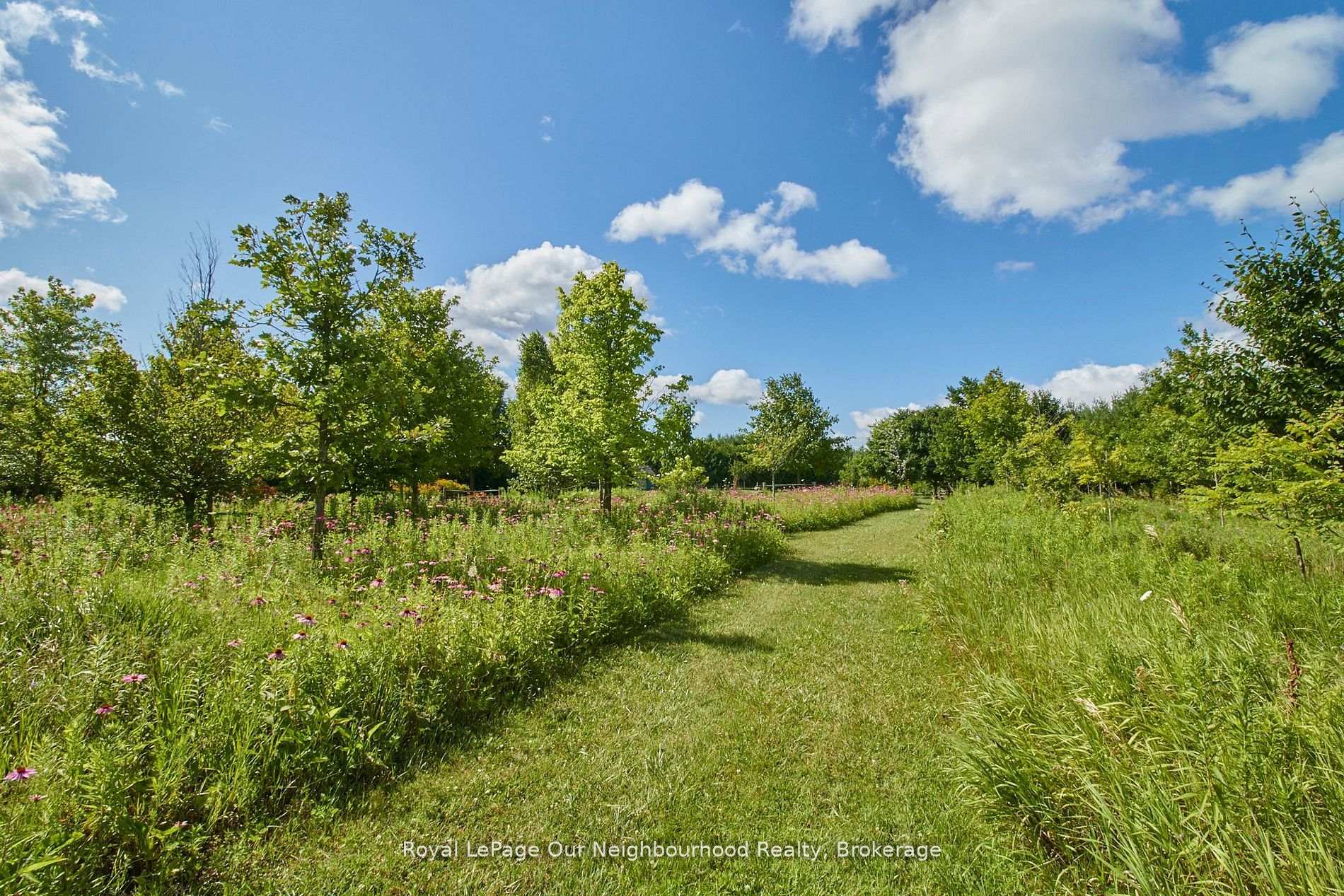 Photo 42 of 3088 Concession 7 Road, Clarington, Rural Clarington — HOMEH