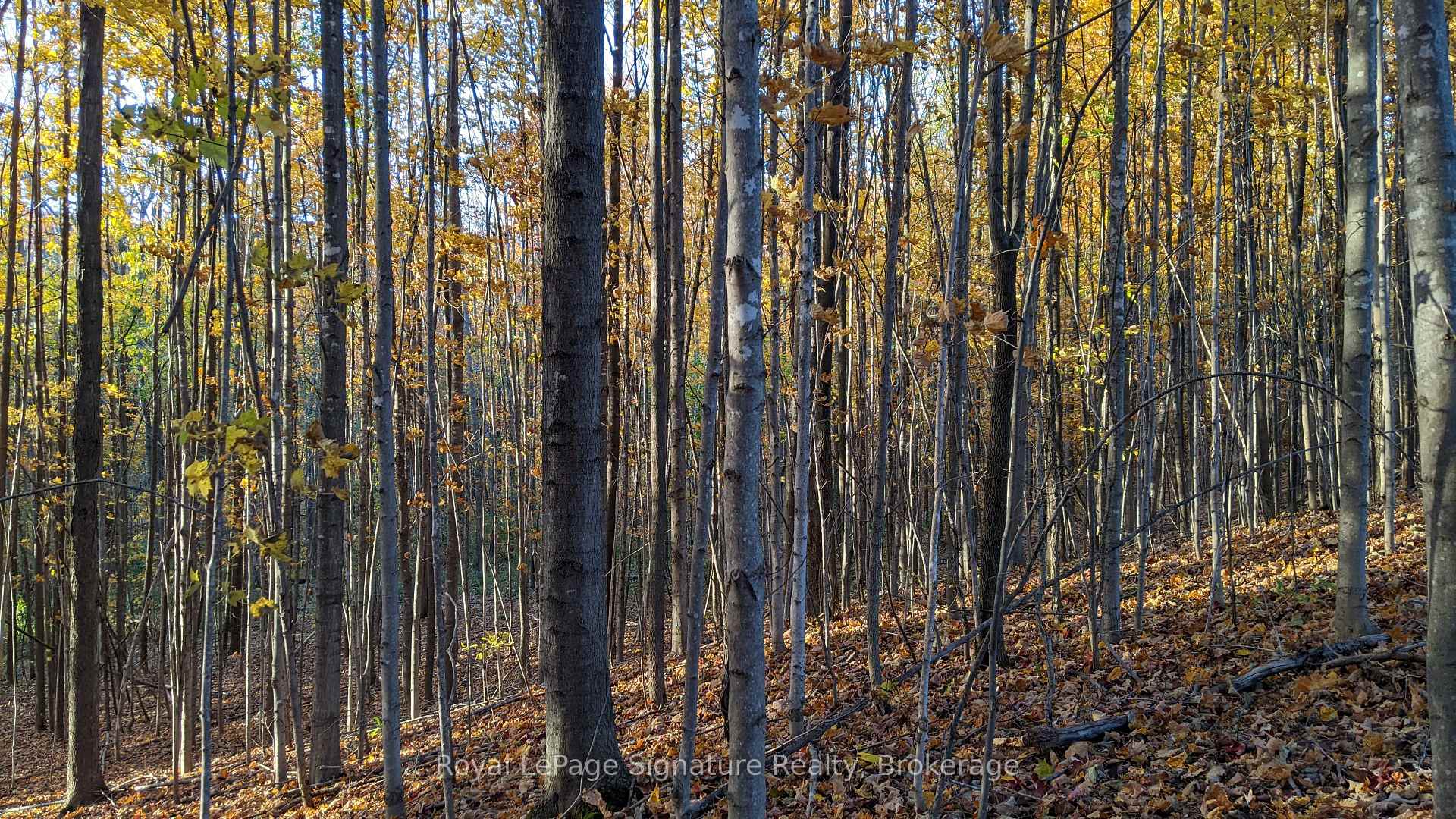 Photo 40 of 807035 25th Side Road, Grey Highlands — HOMEH