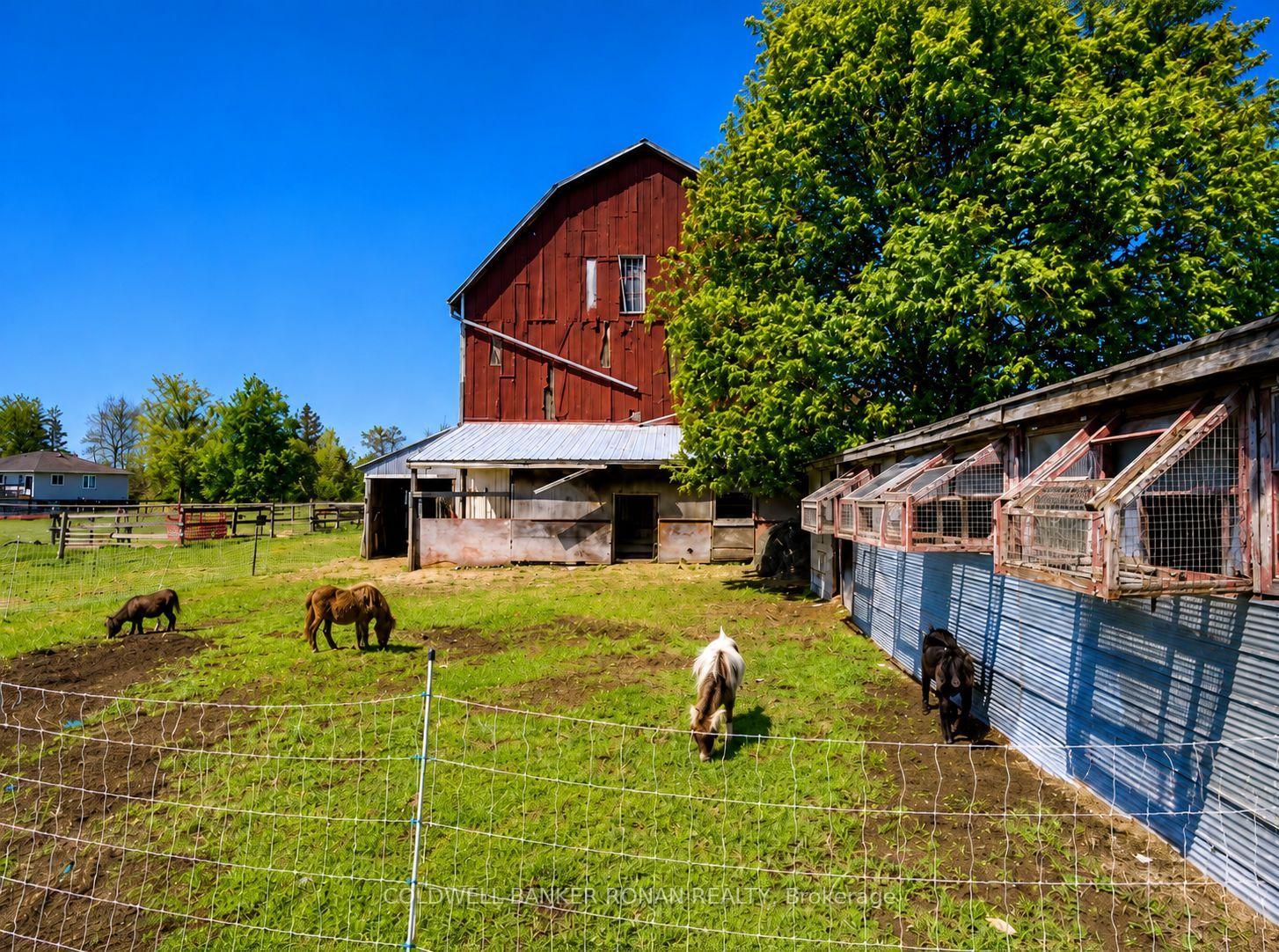 Photo 4 of 6703 Pine Plains Road E, Adjala-Tosorontio, Rural Adjala-Tosorontio — HOMEH