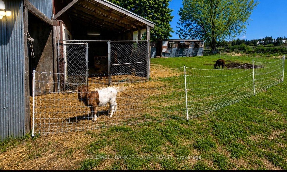 Photo 9 of 6703 Pine Plains Road E, Adjala-Tosorontio, Rural Adjala-Tosorontio — HOMEH