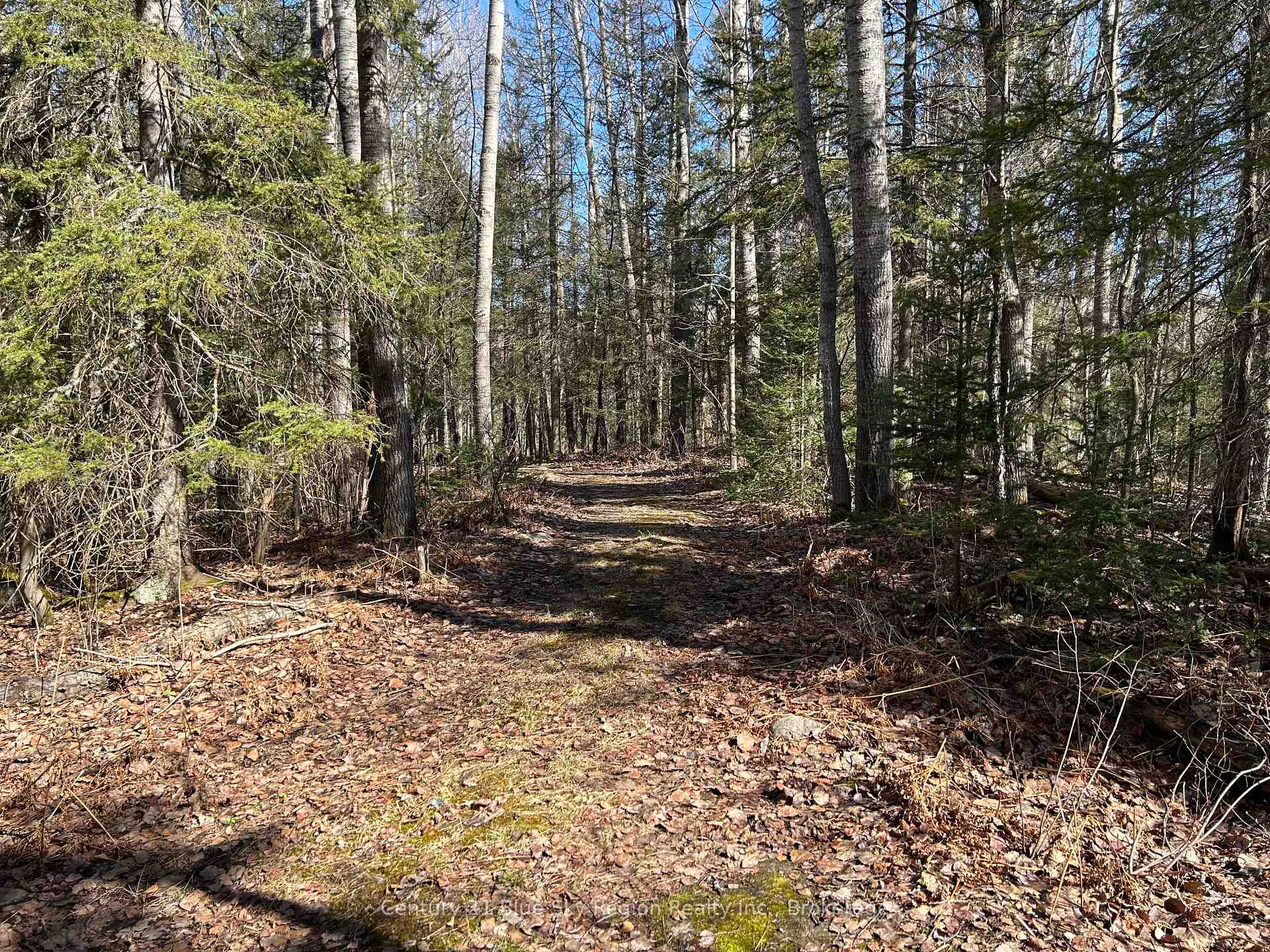Photo 3 of CON 9 PT LOT 17 Highway 534, Nipissing — HOMEH