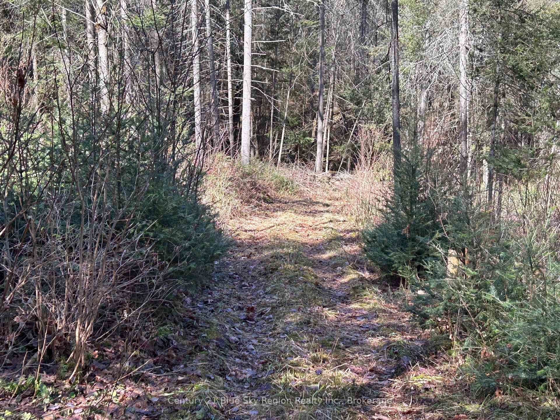 Photo 6 of CON 9 PT LOT 17 Highway 534, Nipissing — HOMEH