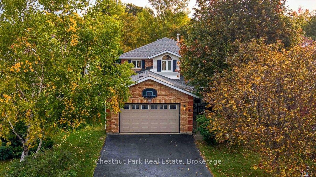 Photo of 31 Bush Street