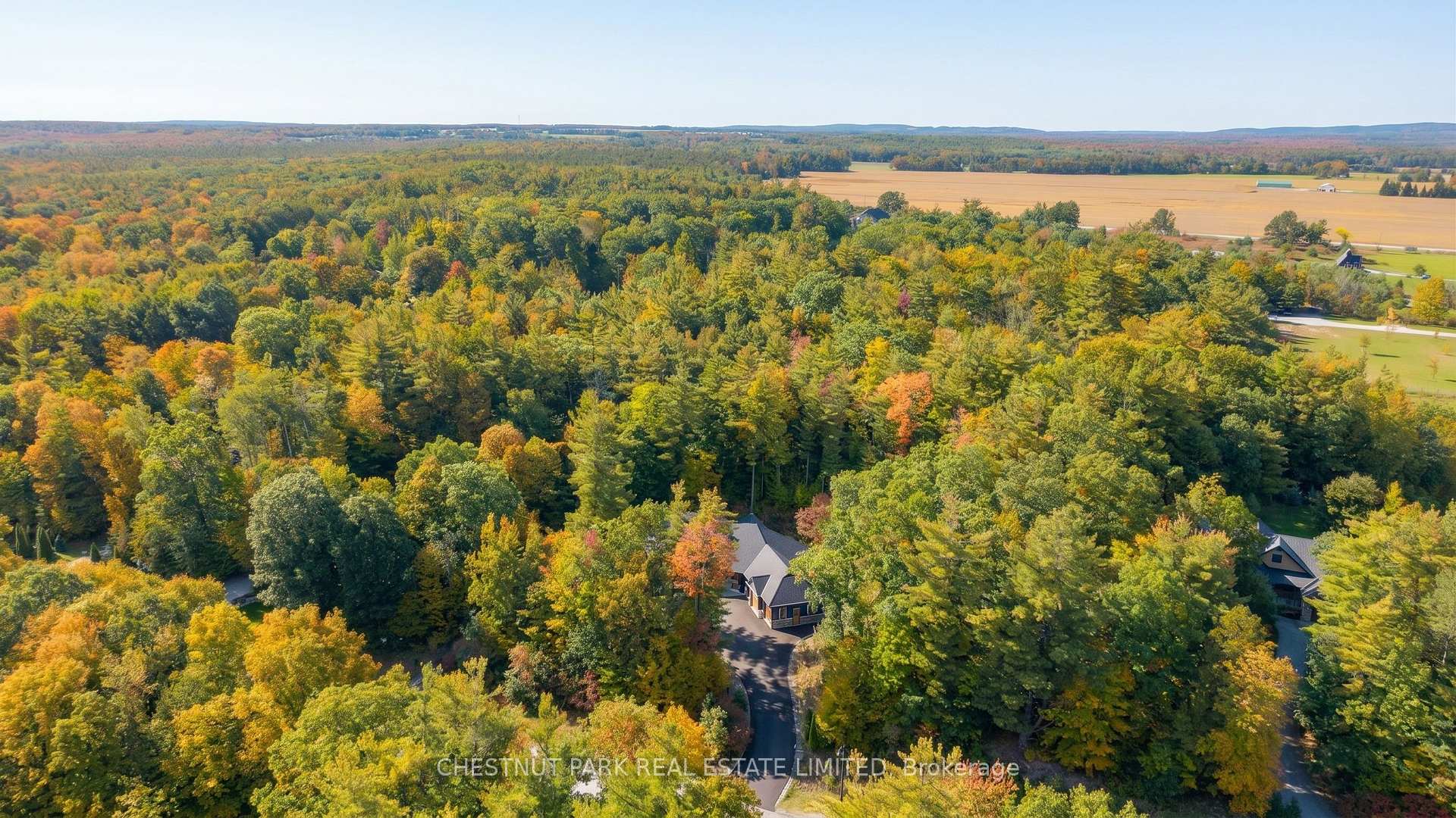 Photo 39 of 9 Moran Street, Springwater, Rural Springwater — HOMEH