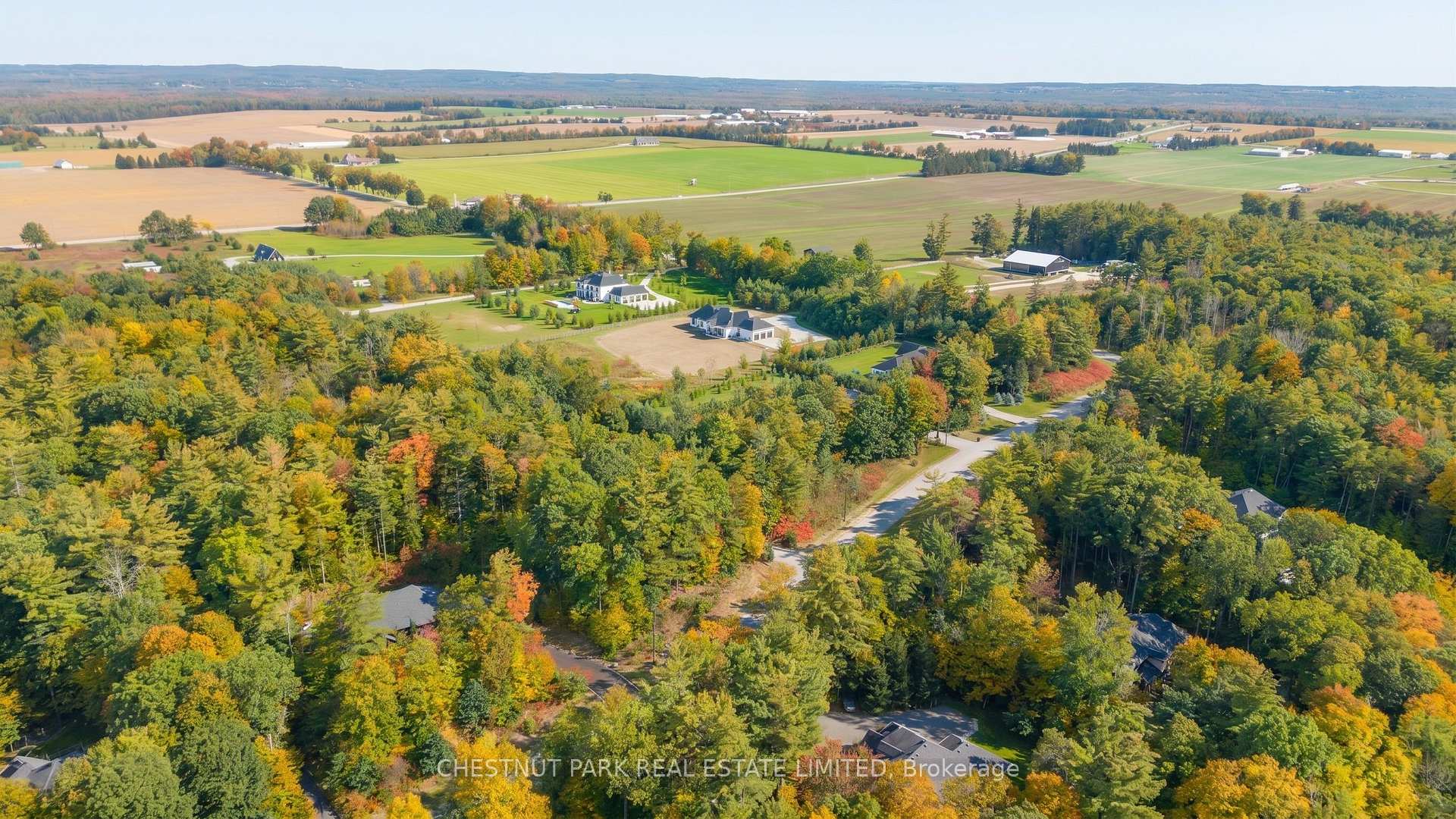 Photo 41 of 9 Moran Street, Springwater, Rural Springwater — HOMEH