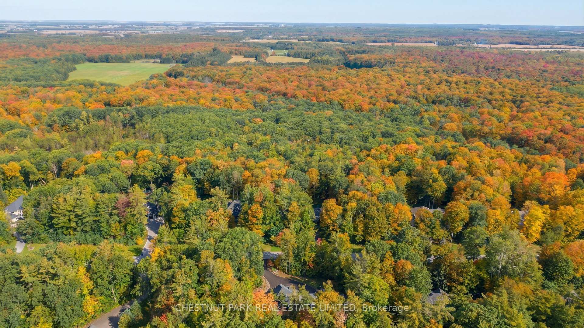 Photo 42 of 9 Moran Street, Springwater, Rural Springwater — HOMEH
