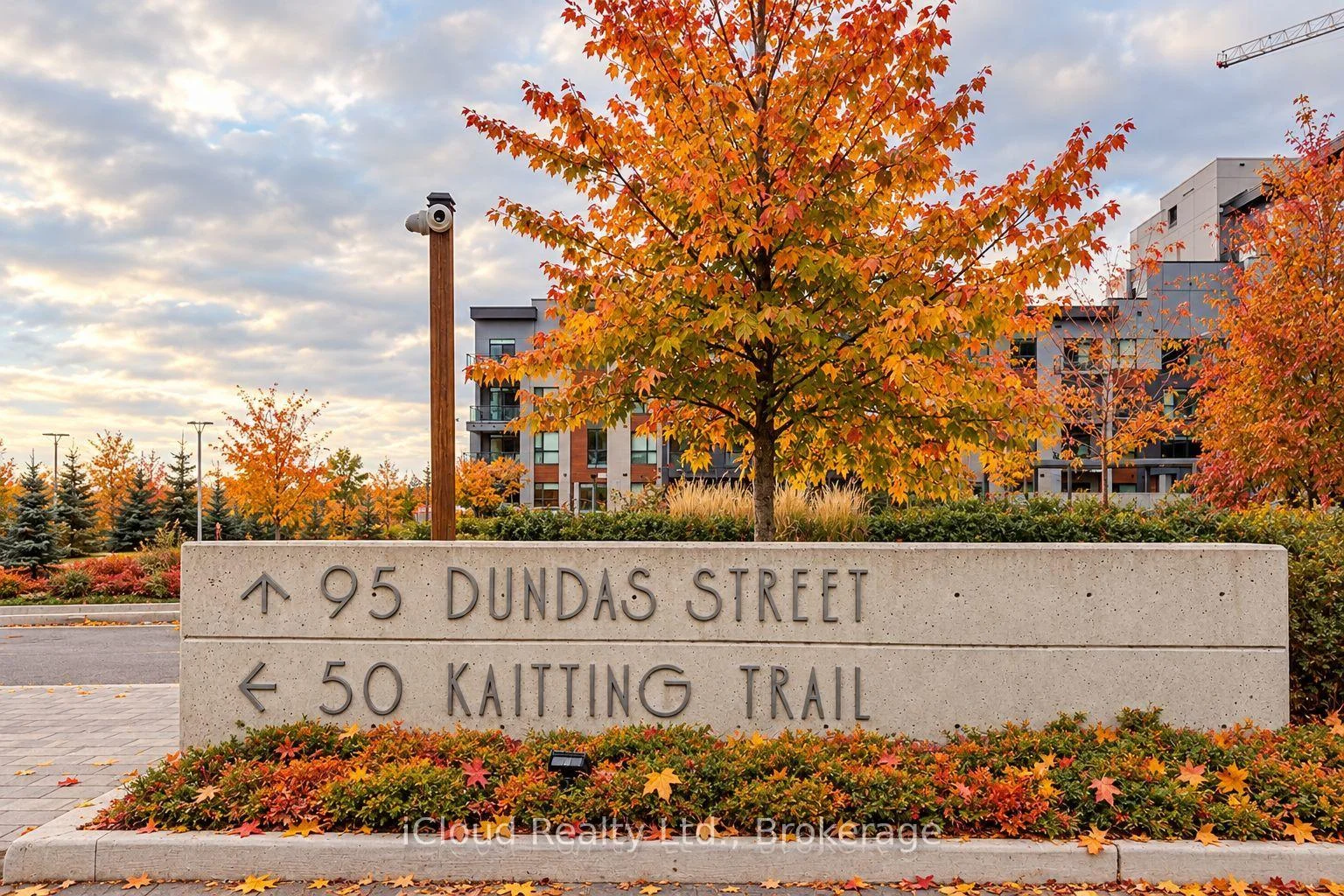Photo of Unit 504, 95 Dundas Street