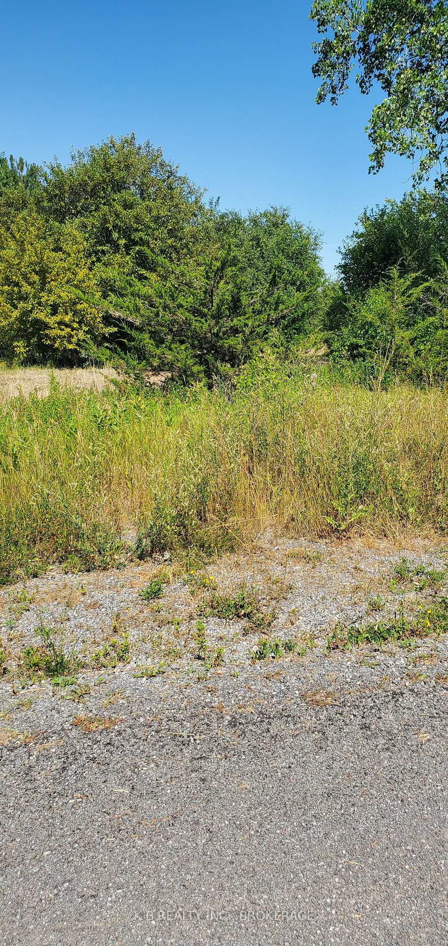 Photo of 66 Dorland Drive