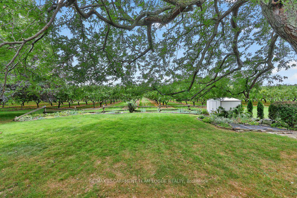 Photo 45 of 3236 First Avenue, Lincoln, Lincoln-Jordan/Vineland — HOMEH