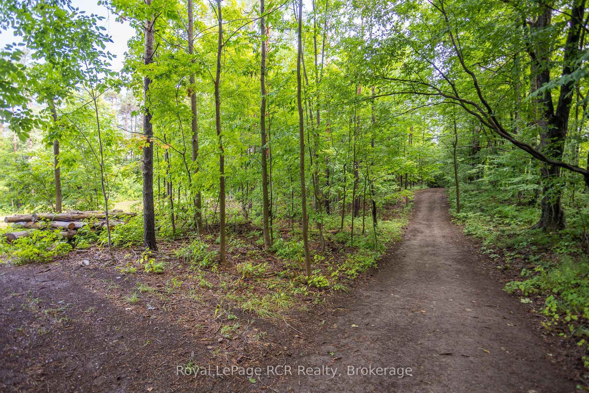 Photo 39 of 121 Collingwood Street, Grey Highlands — HOMEH