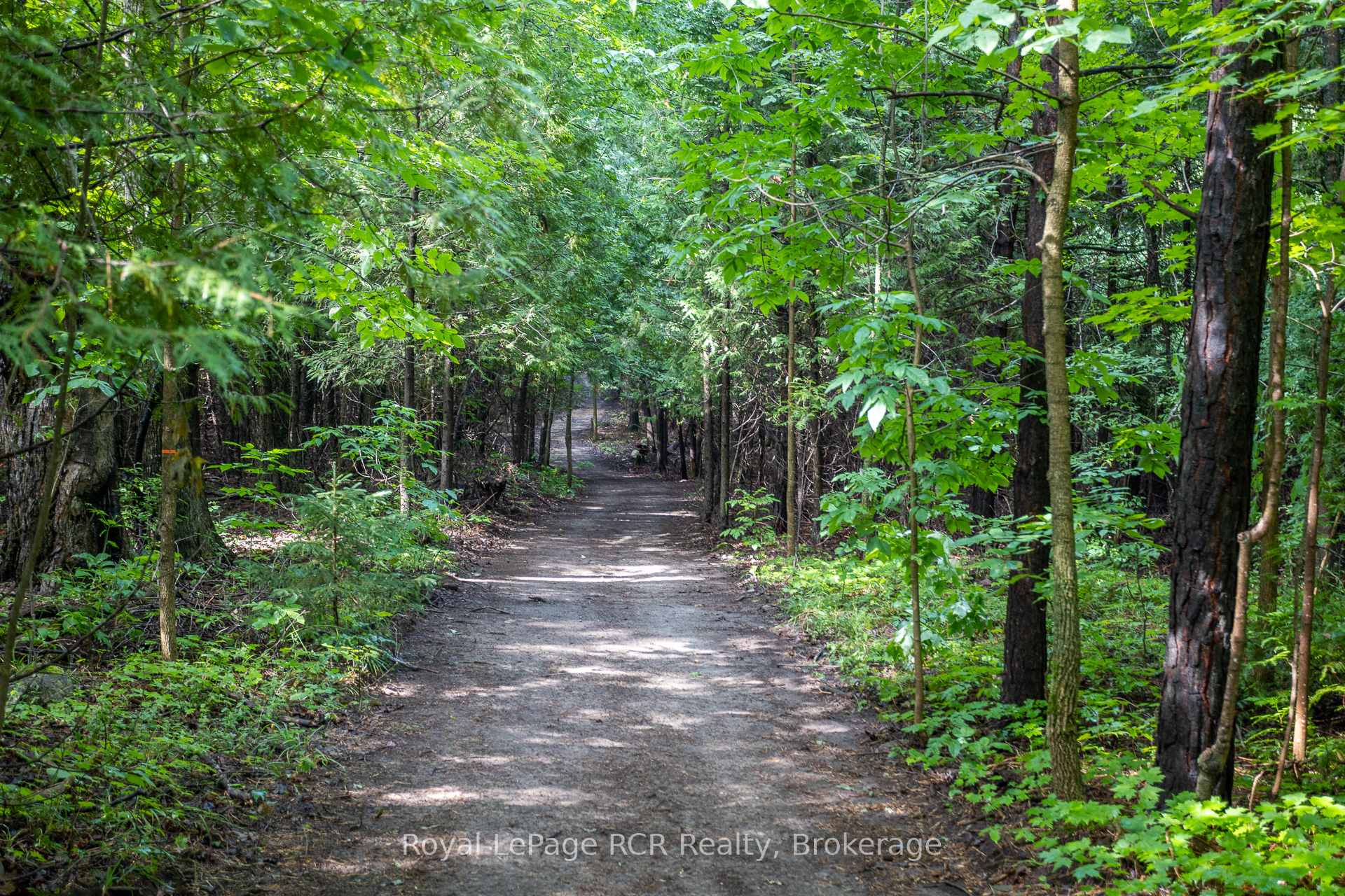 Photo 40 of 121 Collingwood Street, Grey Highlands — HOMEH