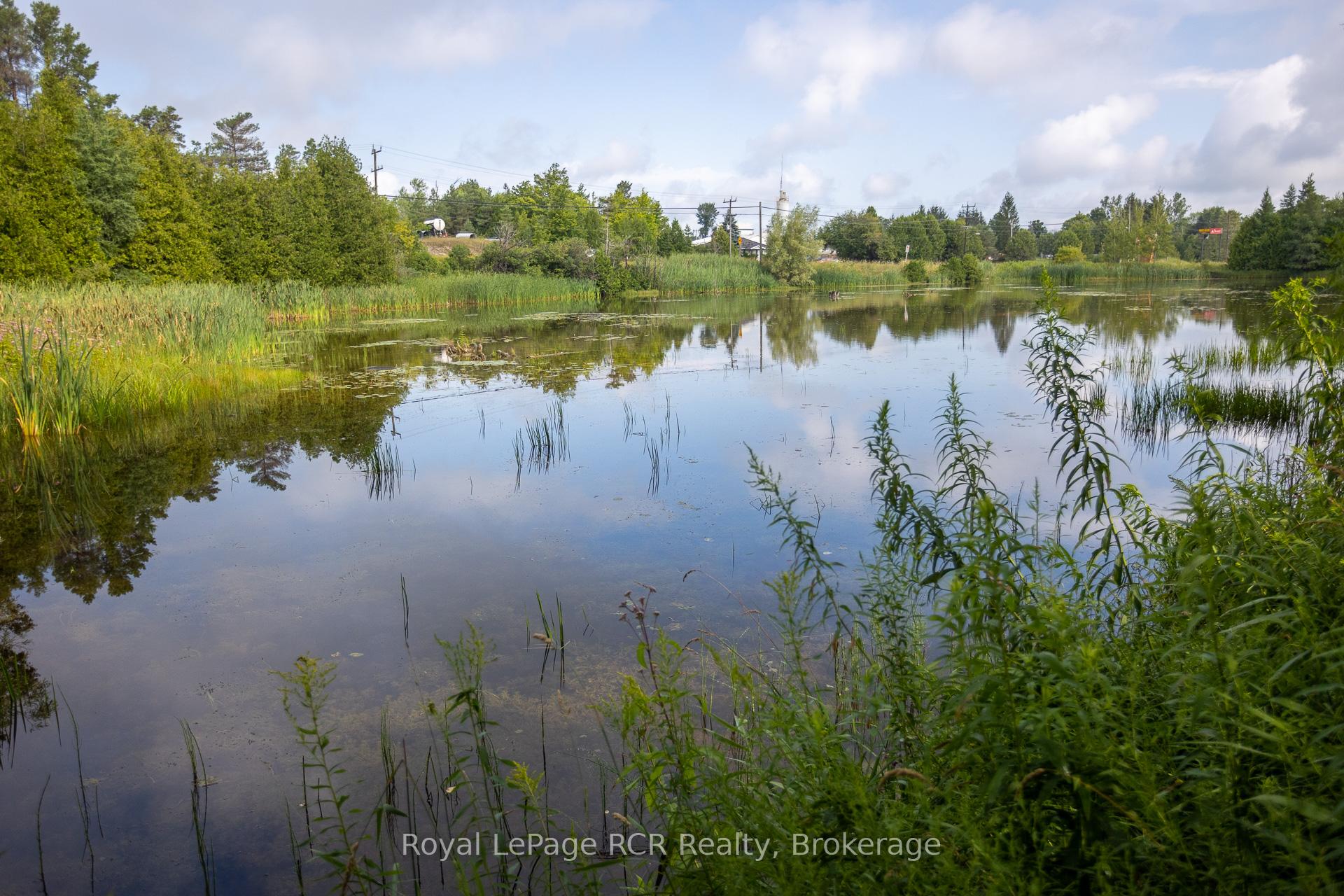 Photo 41 of 121 Collingwood Street, Grey Highlands — HOMEH