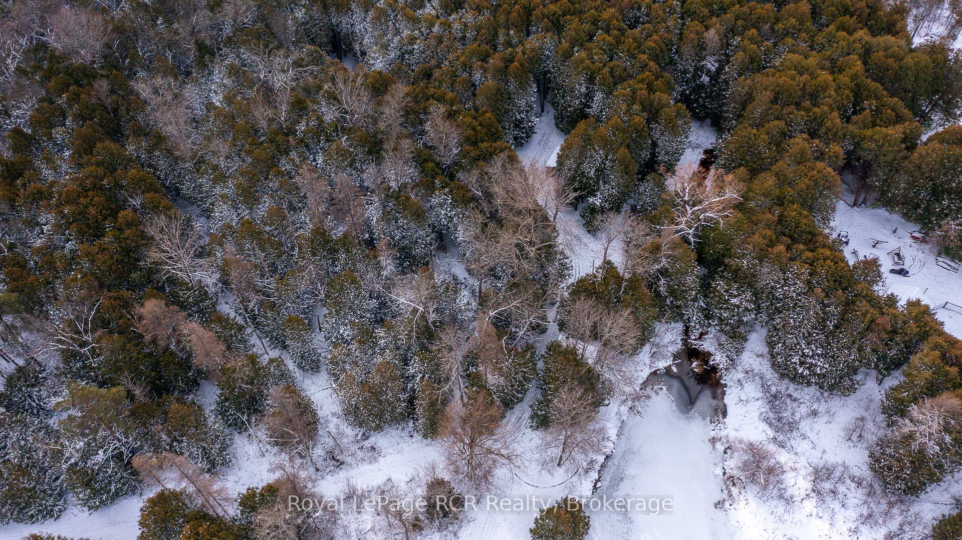 Photo 45 of 121 Collingwood Street, Grey Highlands — HOMEH