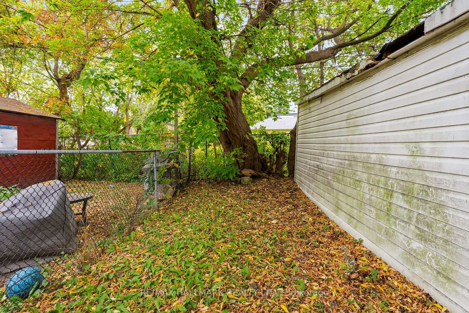 Photo 26 of 31 Thora Avenue, Scarborough, Oakridge — HOMEH
