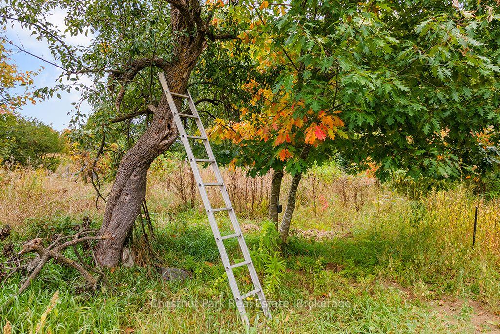 Photo 39 of 138237 Grey Road 112, Meaford — HOMEH