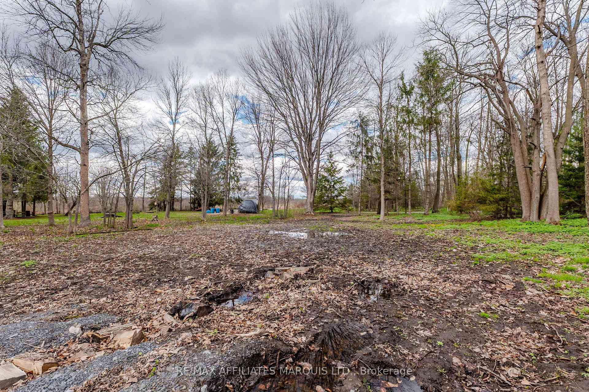 Photo 15 of 0000 Tree Haven Road, South Glengarry, South Glengarry (Charlottenburgh) Twp — HOMEH
