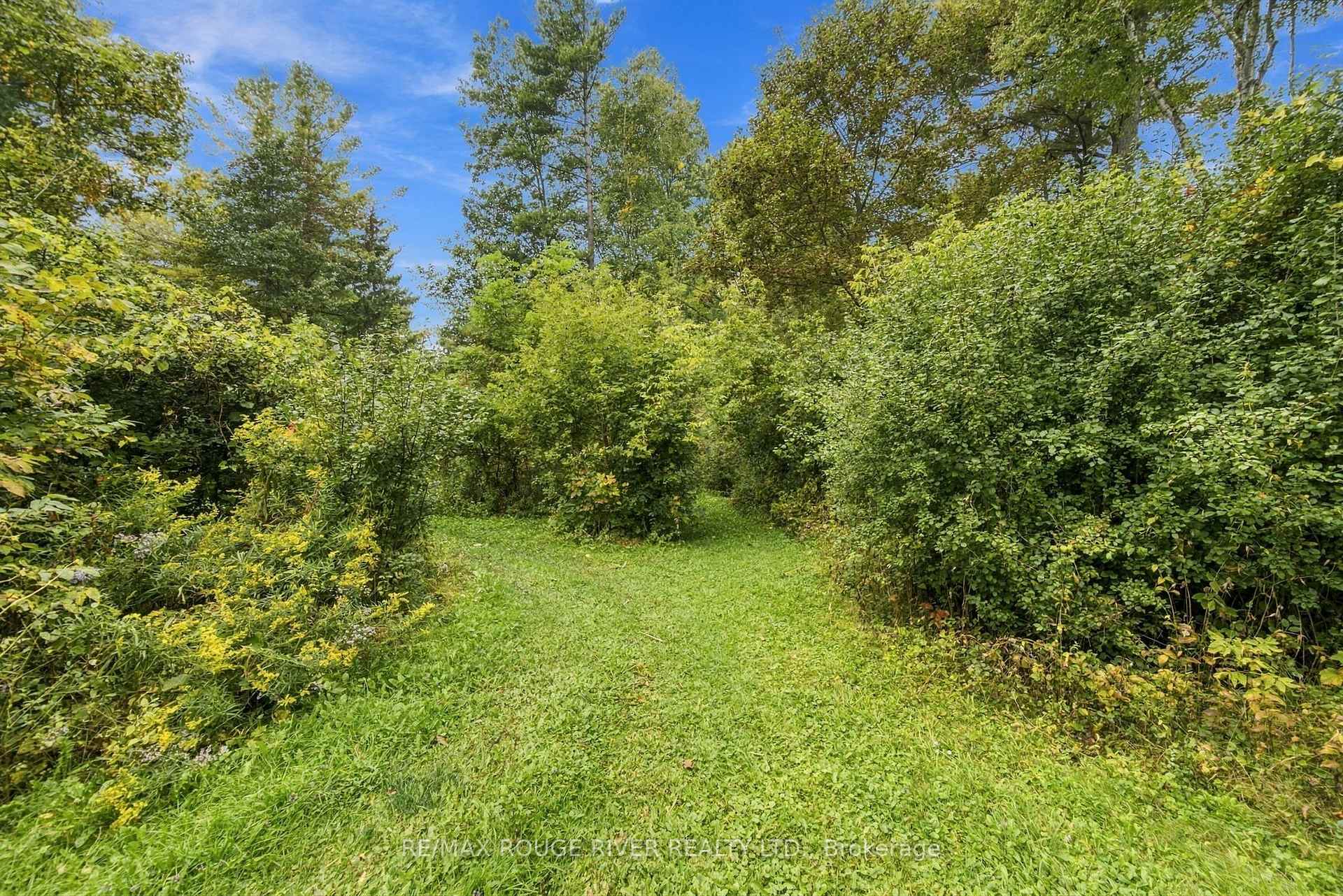 Photo 39 of 2311 Division Street N, Hamilton Township, Rural Hamilton — HOMEH