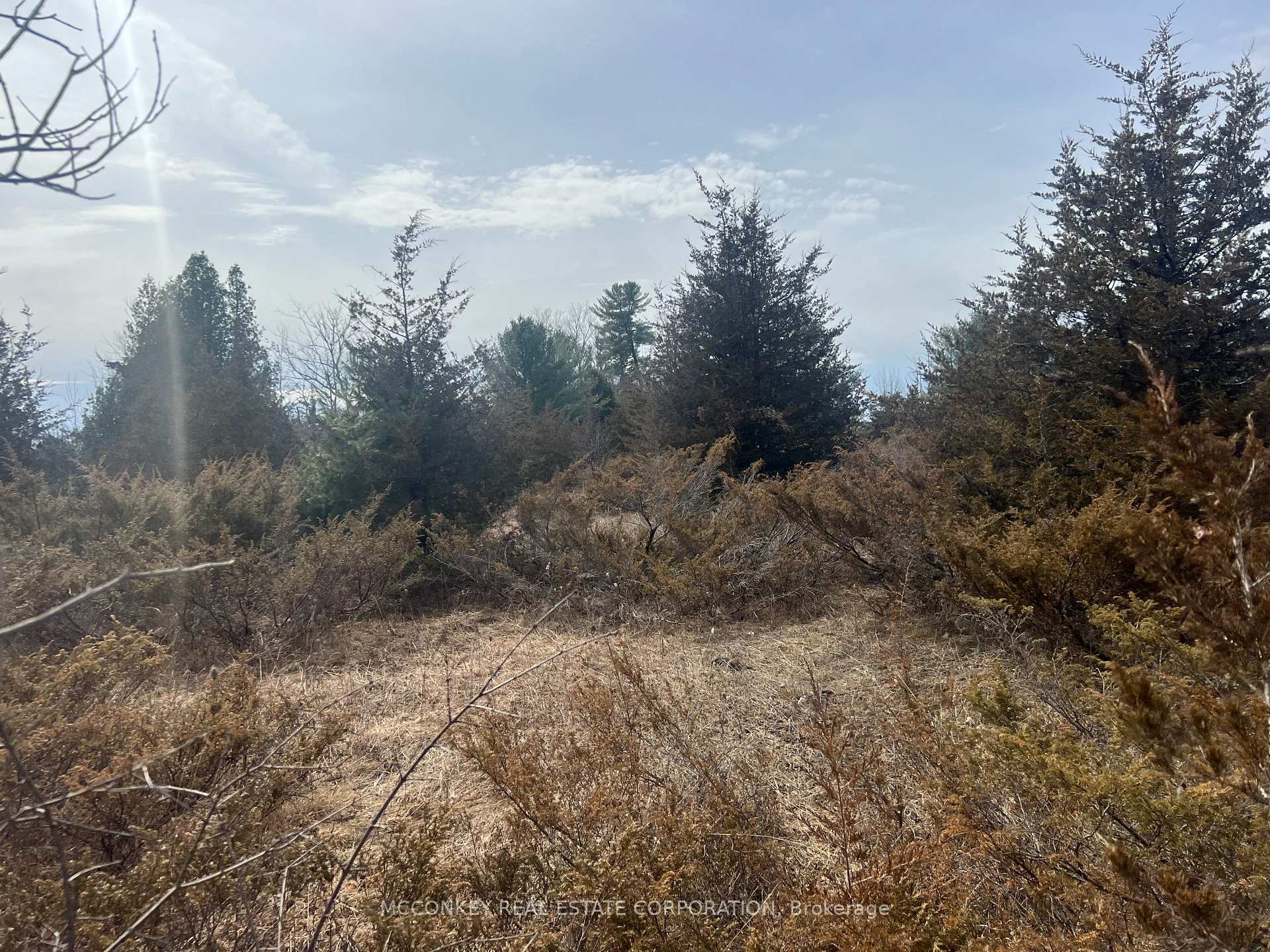 Photo 10 of 00 N. Dummer 7th Line Road, Douro-Dummer — HOMEH