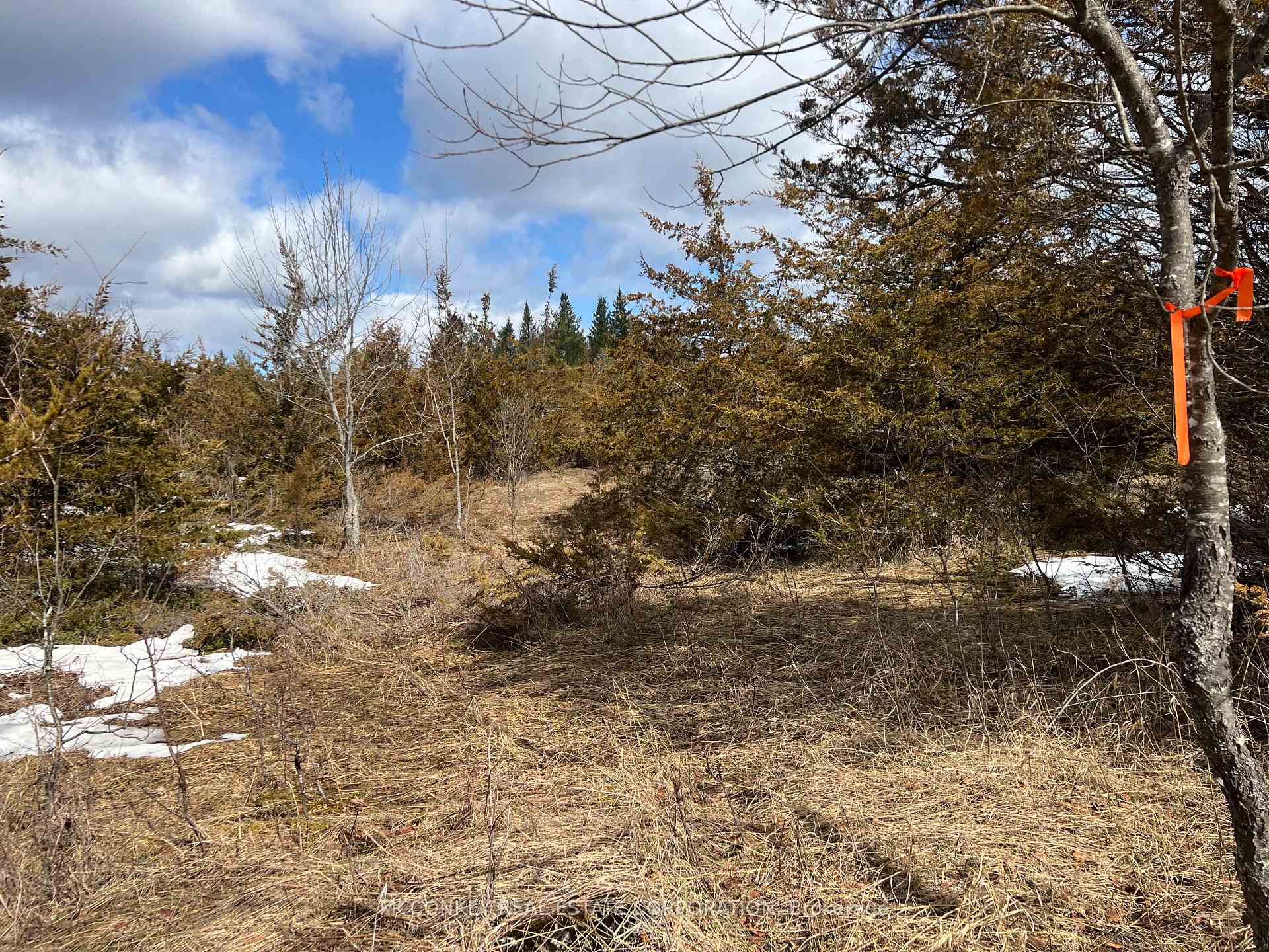 Photo 11 of 00 N. Dummer 7th Line Road, Douro-Dummer — HOMEH
