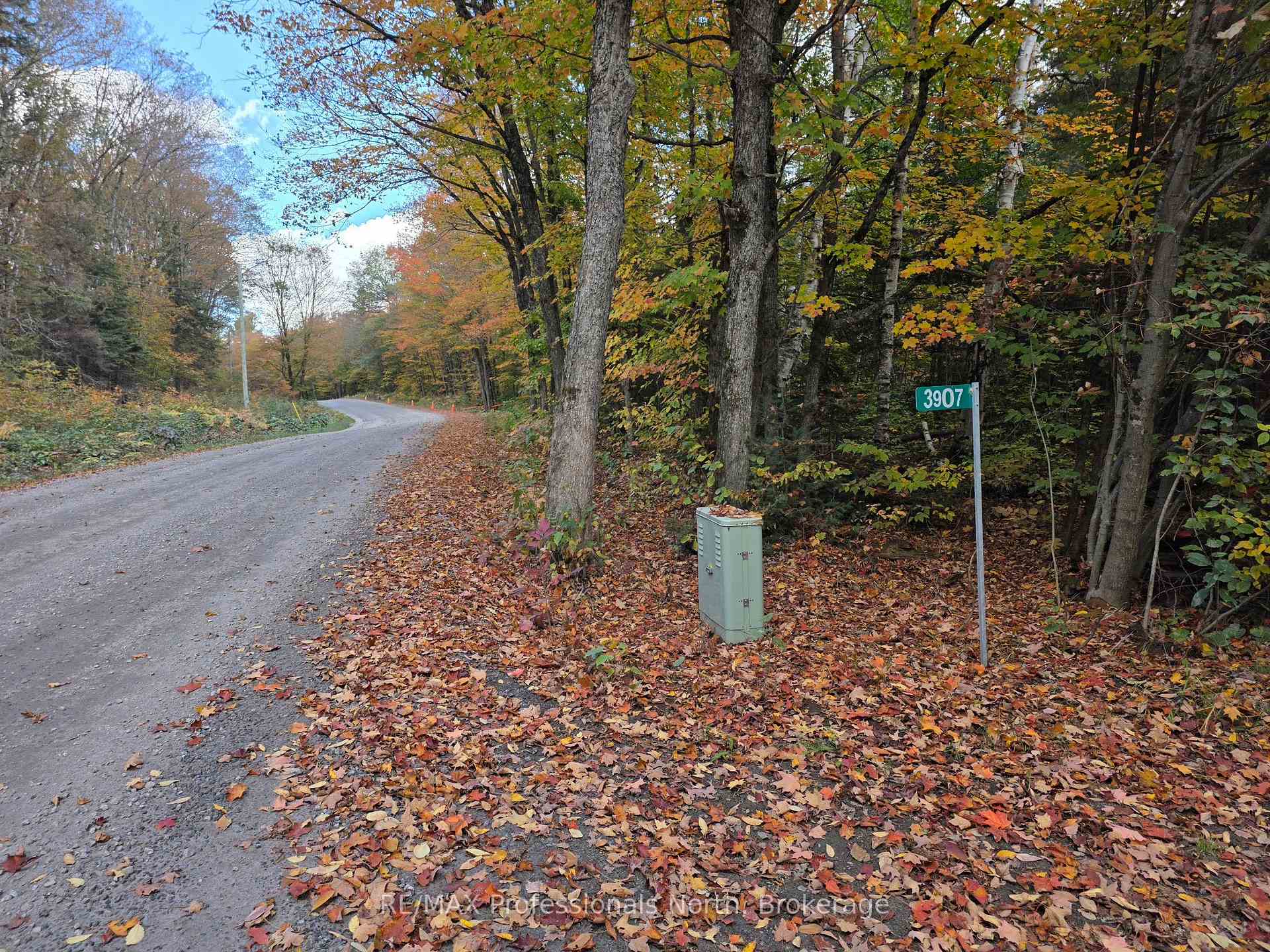 Photo 2 of 3907 Stisted Road, McMurrich/Monteith, McMurrich — HOMEH
