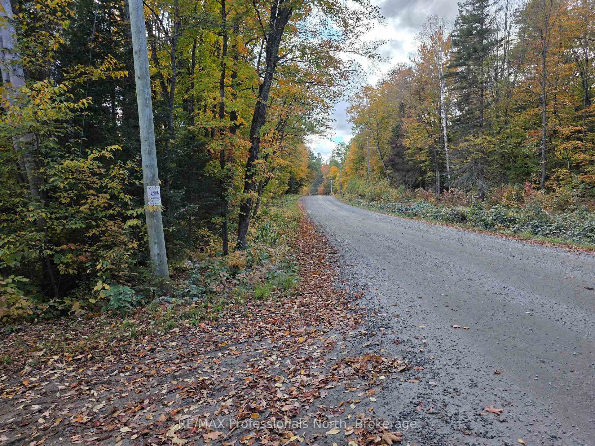 Photo 3 of 3907 Stisted Road, McMurrich/Monteith, McMurrich — HOMEH